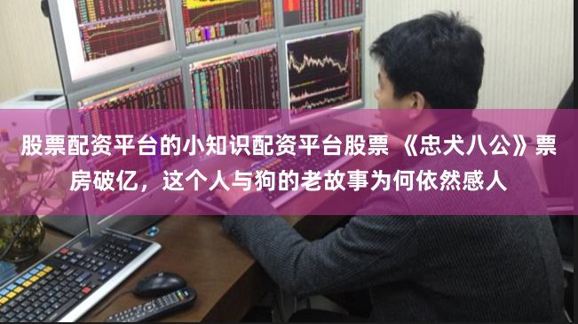 股票配资平台的小知识配资平台股票 《忠犬八公》票房破亿，这个人与狗的老故事为何依然感人