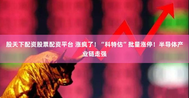 股天下配资股票配资平台 涨疯了！“科特估”批量涨停！半导体产业链走强