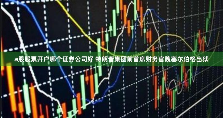 a股股票开户哪个证券公司好 特朗普集团前首席财务官魏塞尔伯格出狱