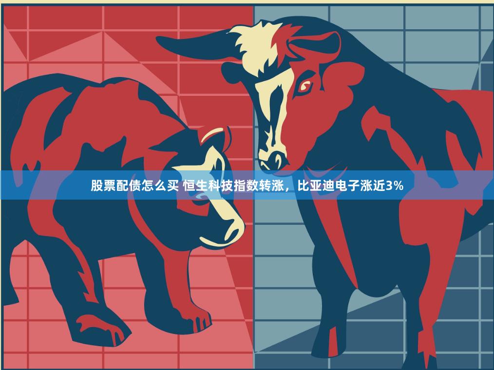 股票配债怎么买 恒生科技指数转涨，比亚迪电子涨近3%