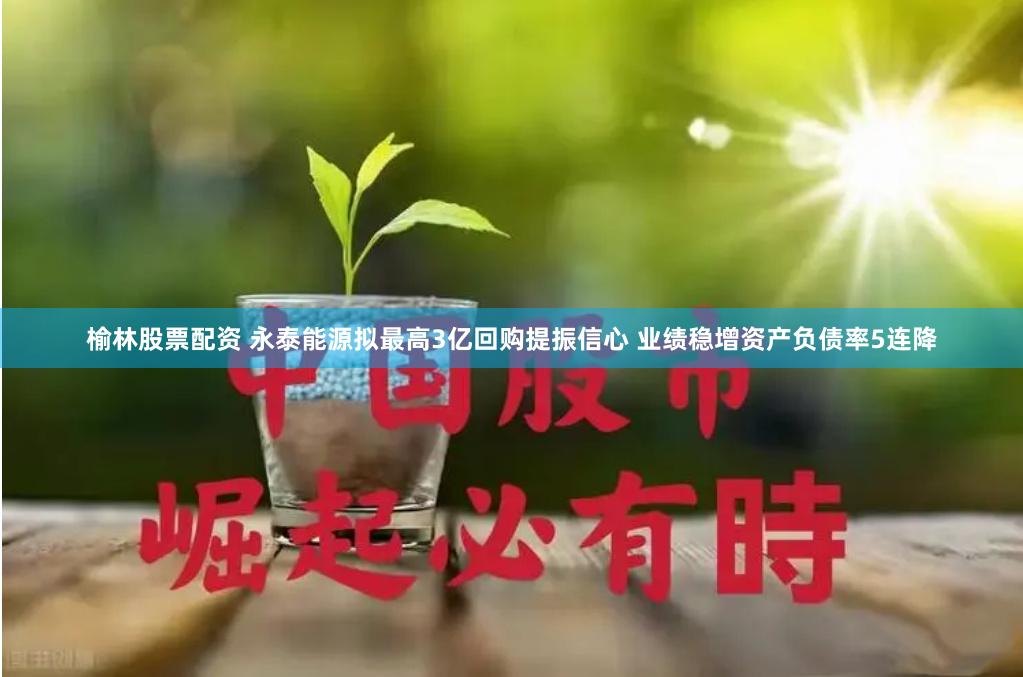 榆林股票配资 永泰能源拟最高3亿回购提振信心 业绩稳增资产负债率5连降