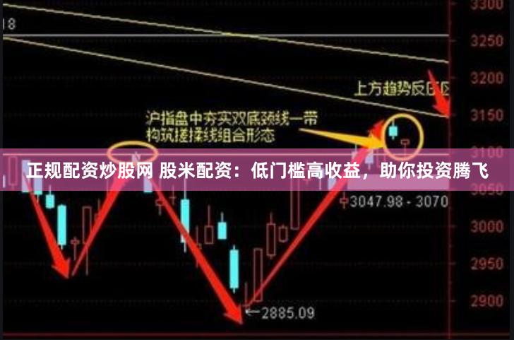 正规配资炒股网 股米配资：低门槛高收益，助你投资腾飞